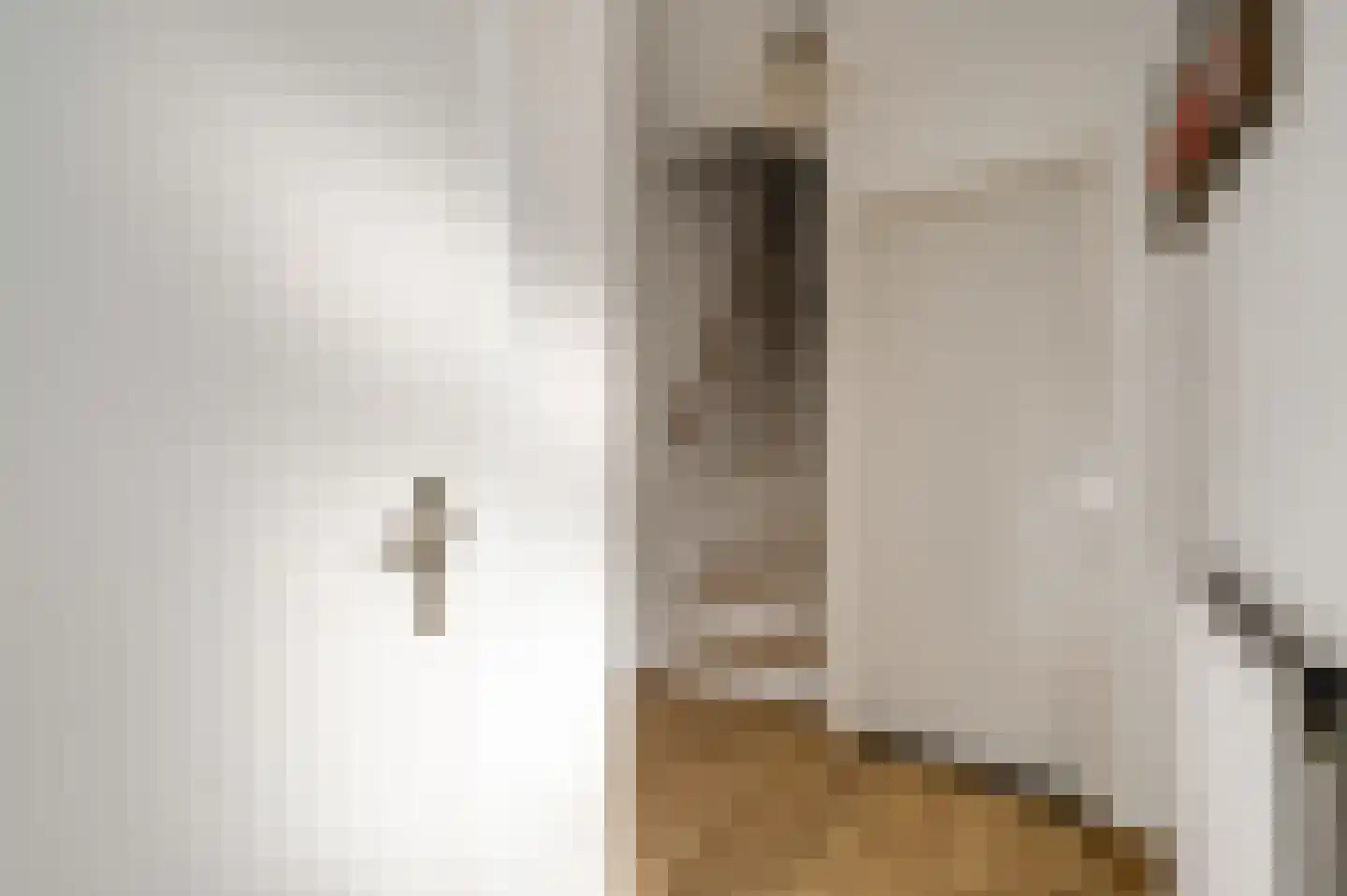 Laurierstraat 61 Nederweert thumbnail 9
