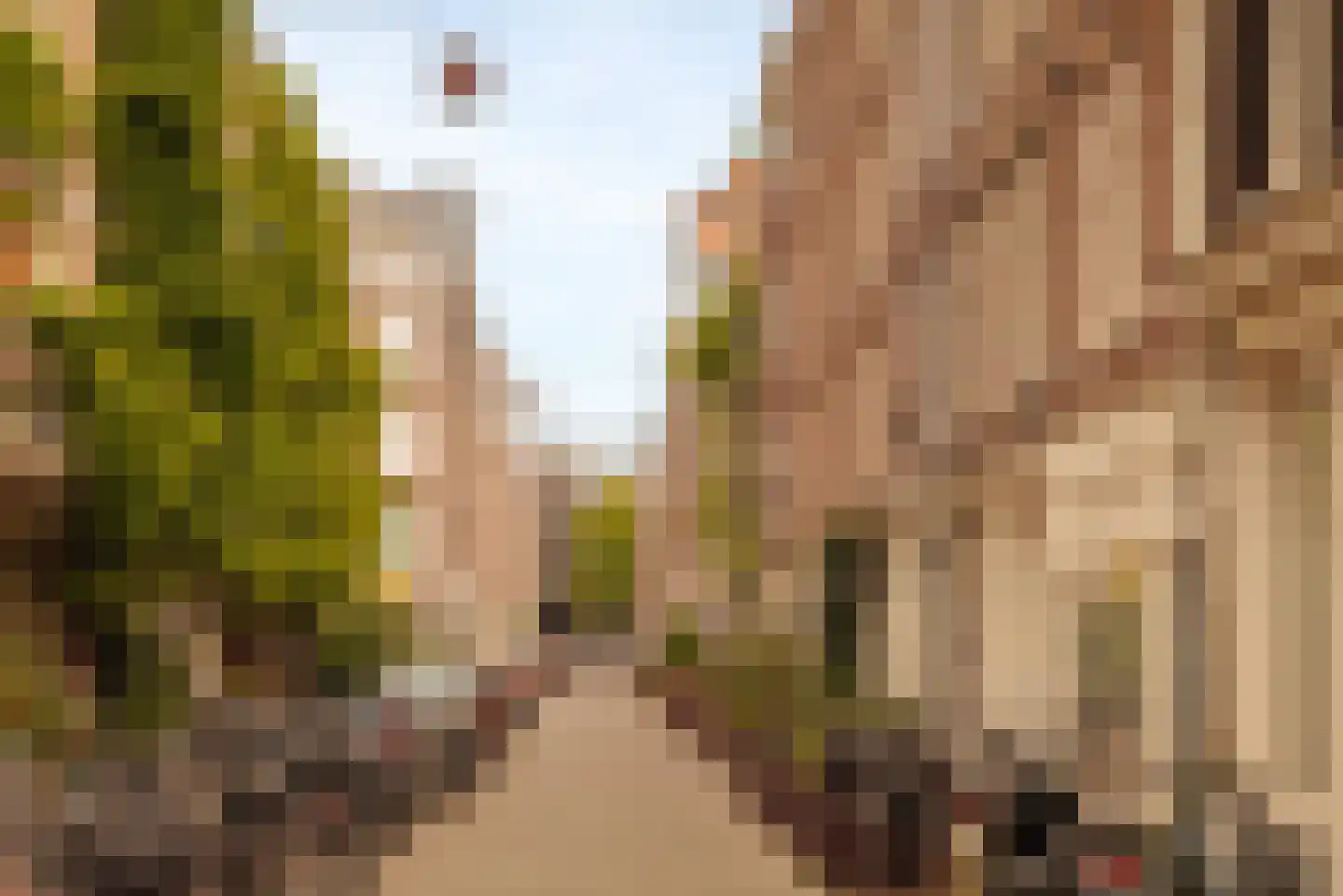 Laurierstraat 63 Amsterdam thumbnail 42