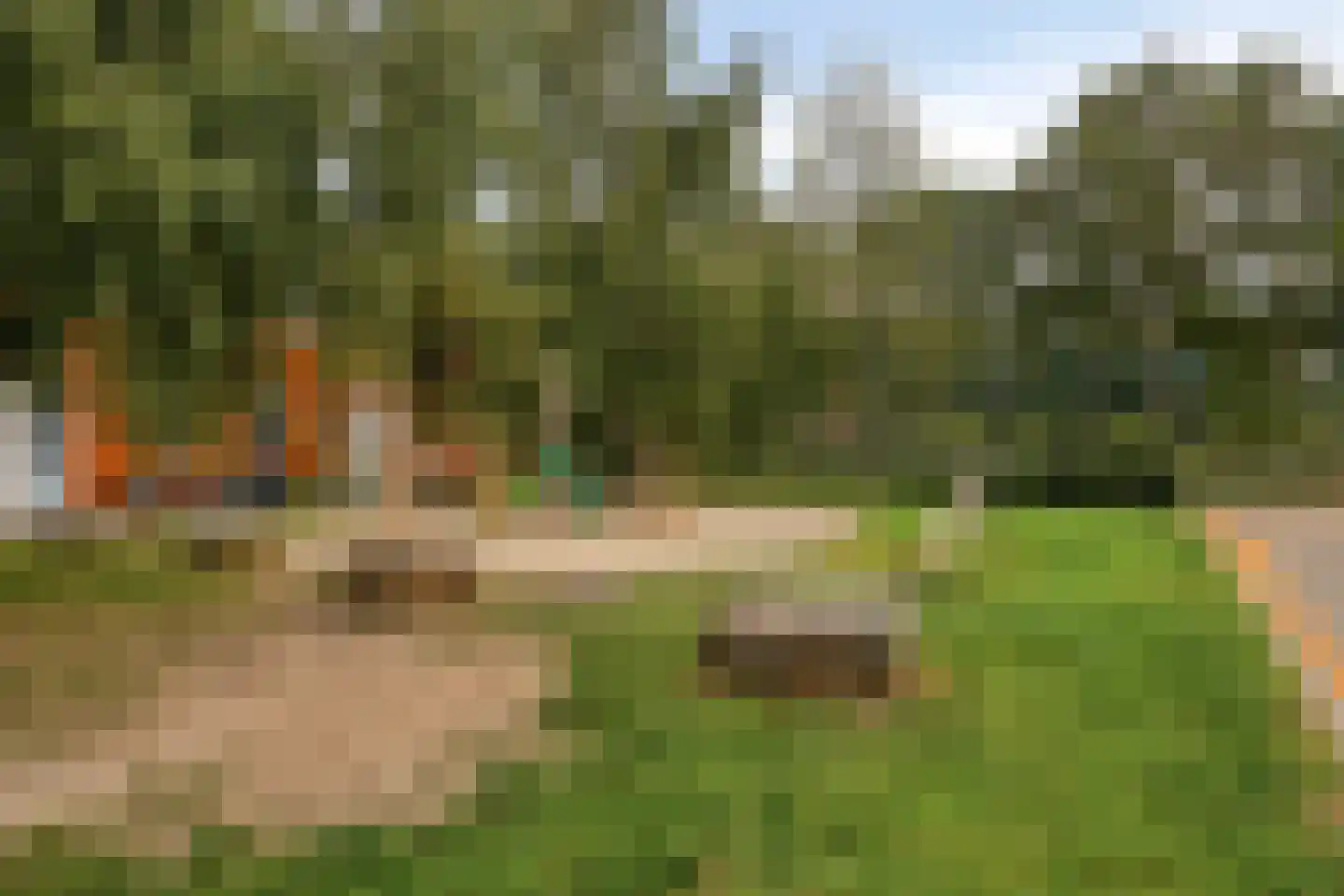 Laurierstraat 7 Apeldoorn thumbnail 37