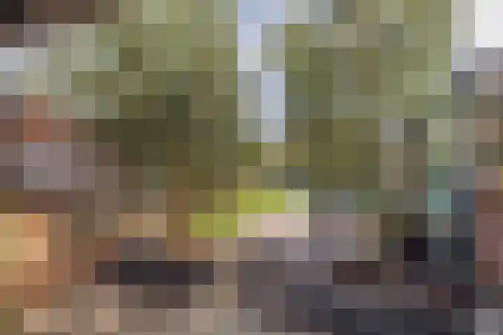 Laurierstraat 7 Venlo thumbnail 11