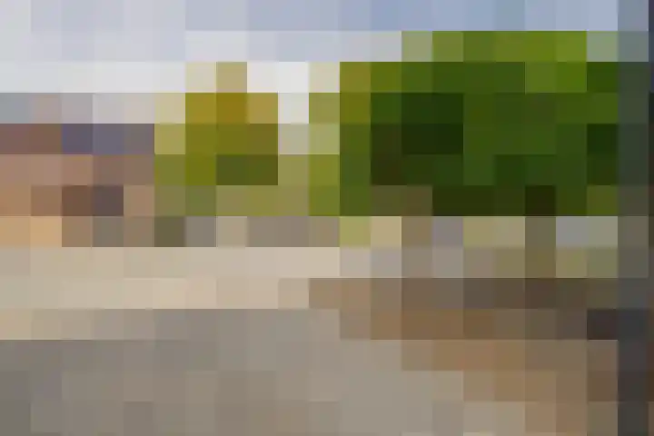 Laurierstraat 7 Venlo thumbnail 26