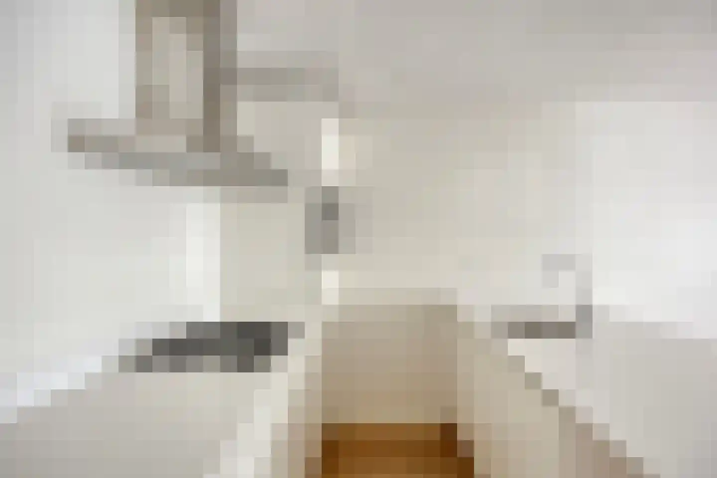 Laurierstraat 77 E Amsterdam thumbnail 4