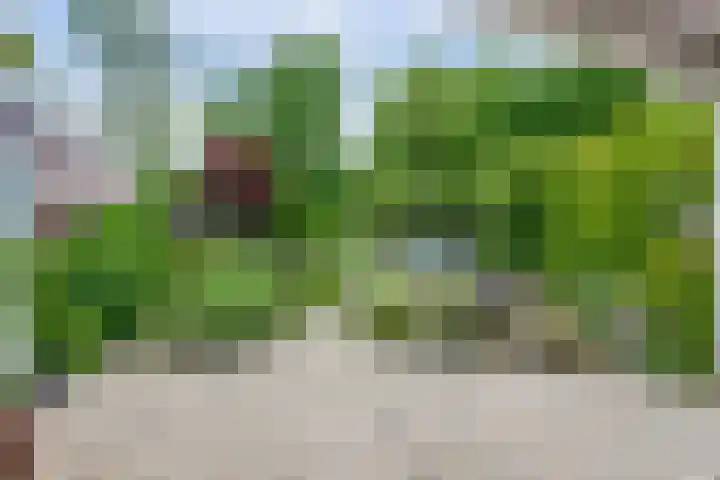 Laurierveld 28 Hulsberg thumbnail 25