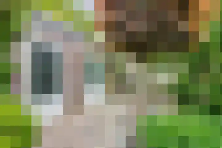 Laurierveld 28 Hulsberg thumbnail 27