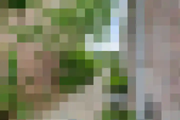 Laurierveld 28 Hulsberg thumbnail 28