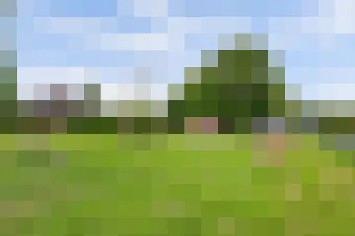 Laurierveld 28 Hulsberg thumbnail 30