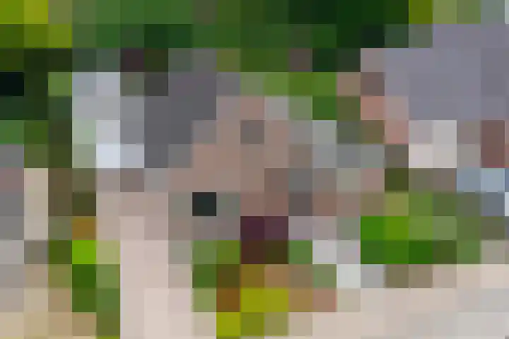 Laurierveld 28 Hulsberg thumbnail 33