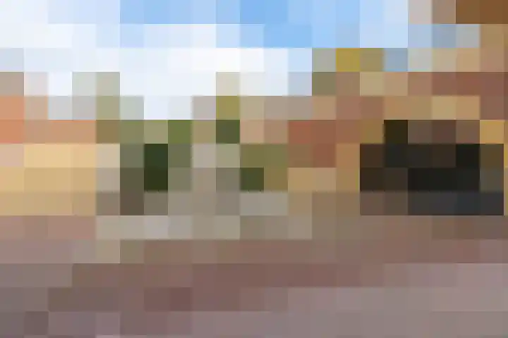 Laurierweg 109 Utrecht thumbnail 62