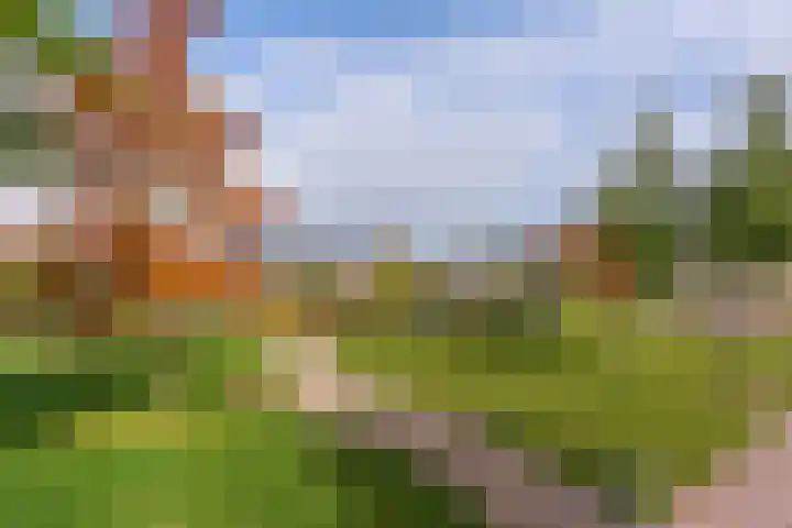 Laurierweg 109 Utrecht thumbnail 65