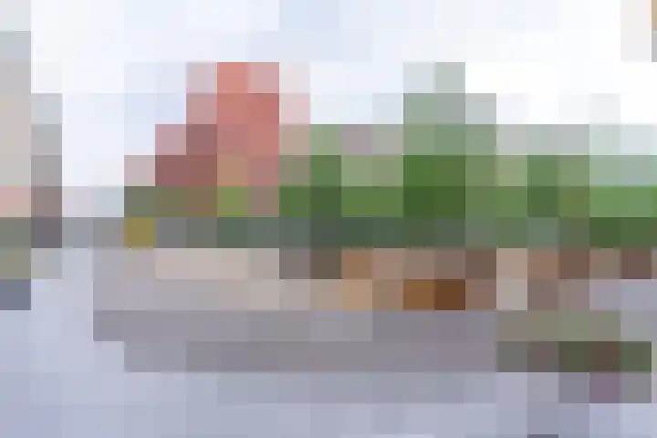 Laurierweg 109 Utrecht thumbnail 66