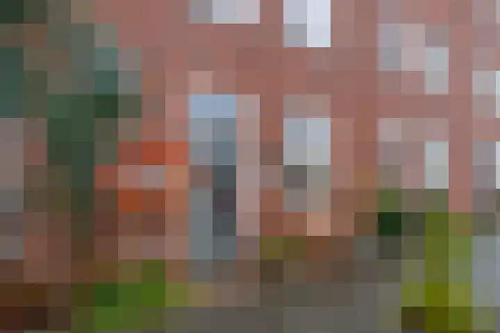 Laurierweg 109 Utrecht thumbnail 9