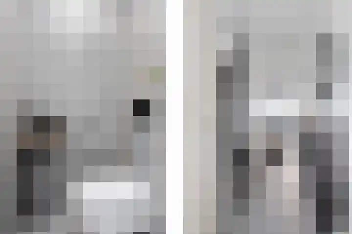 Laurierzoom 3 Zoetermeer thumbnail 10
