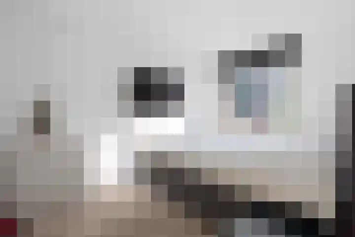 Laurierzoom 3 Zoetermeer thumbnail 12