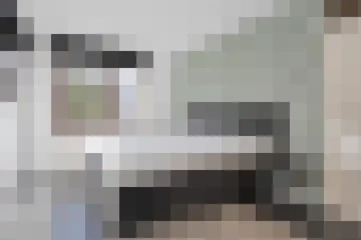 Laurierzoom 3 Zoetermeer thumbnail 13