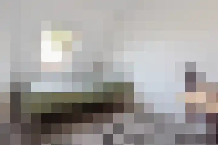 Laurierzoom 3 Zoetermeer thumbnail 14