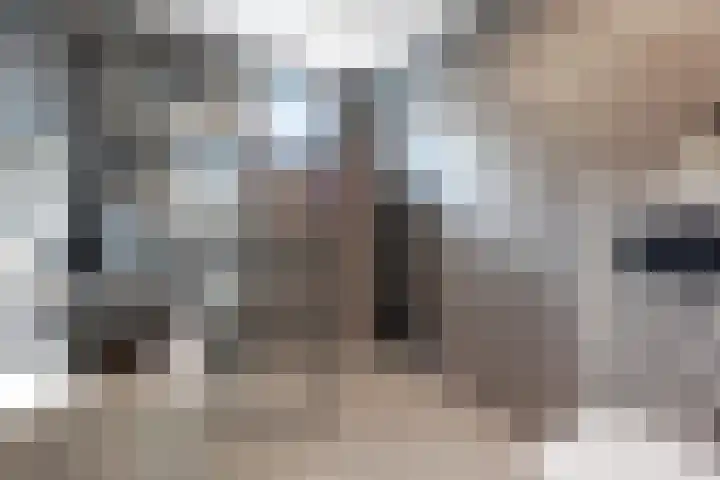 Laurierzoom 3 Zoetermeer thumbnail 16