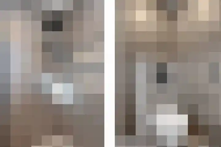 Laurierzoom 3 Zoetermeer thumbnail 18