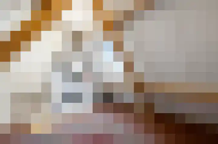 Laurierzoom 3 Zoetermeer thumbnail 20