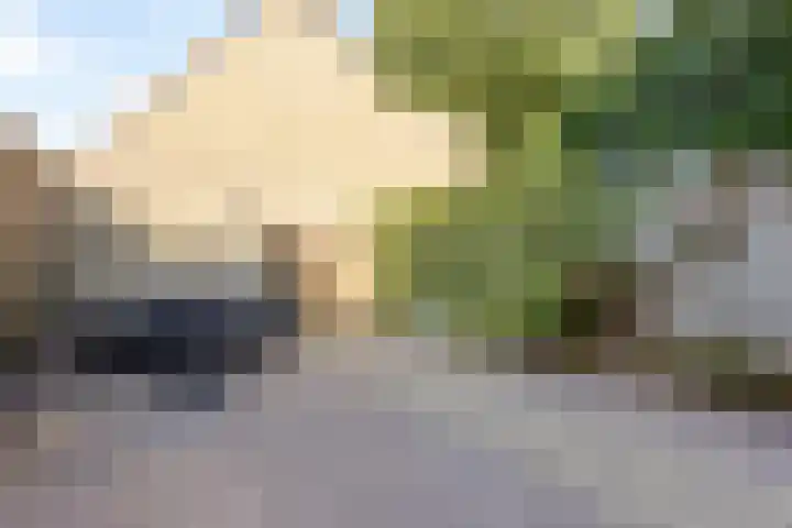 Laurierzoom 3 Zoetermeer thumbnail 23