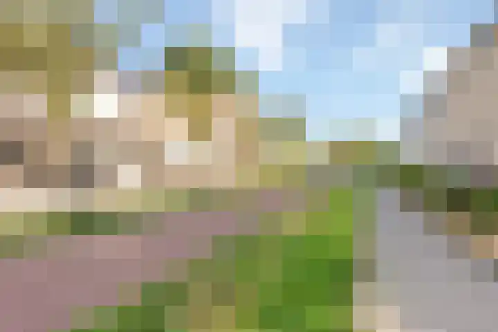 Laurierzoom 3 Zoetermeer thumbnail 25
