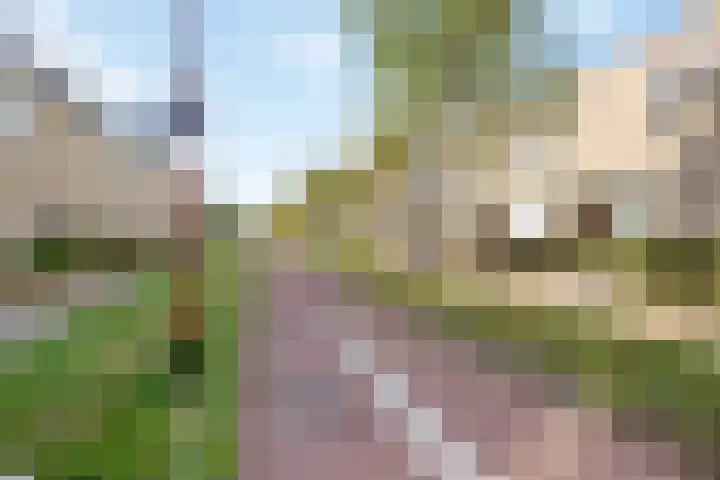 Laurierzoom 3 Zoetermeer thumbnail 26