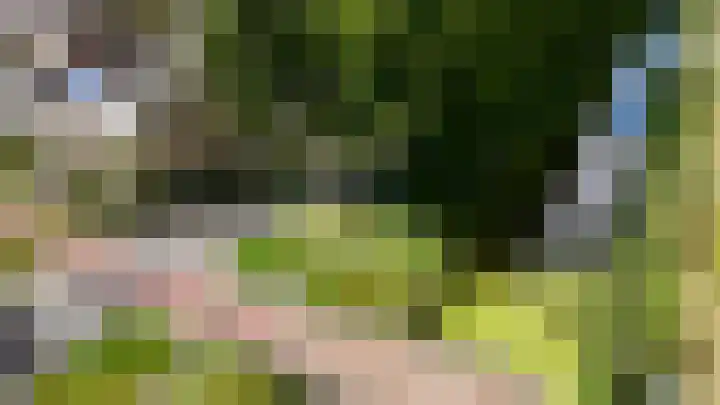 Laurierzoom 3 Zoetermeer thumbnail 27