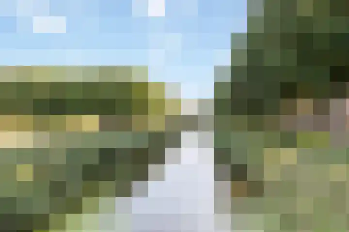 Laurierzoom 3 Zoetermeer thumbnail 28