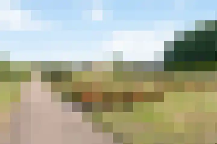 Laurierzoom 3 Zoetermeer thumbnail 30