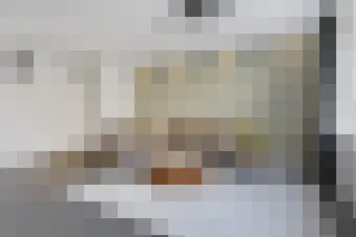Laurierzoom 3 Zoetermeer thumbnail 6