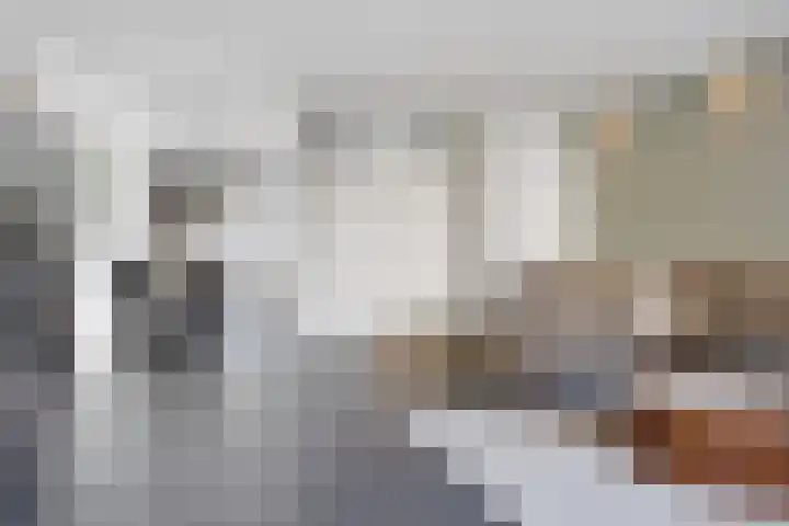 Laurierzoom 3 Zoetermeer thumbnail 7