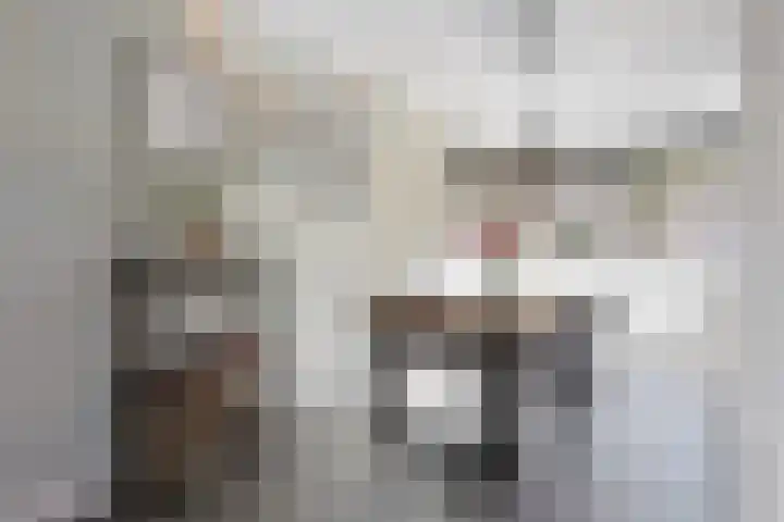 Laurierzoom 3 Zoetermeer thumbnail 8