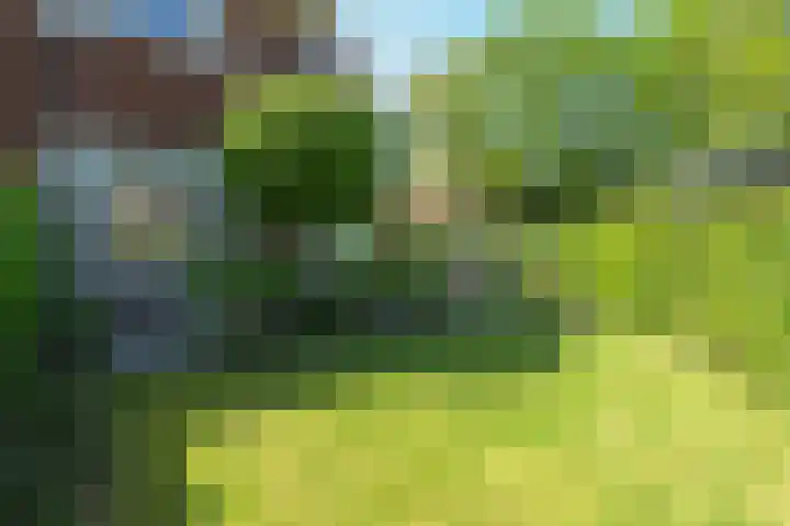 Laurillardlaan 1 Santpoort-Zuid thumbnail 25