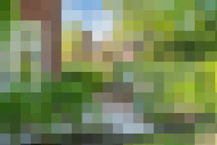 Laurillardlaan 1 Santpoort-Zuid thumbnail 26