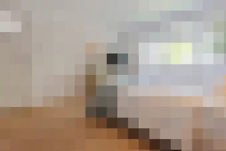 Laurillardlaan 1 Santpoort-Zuid thumbnail 31