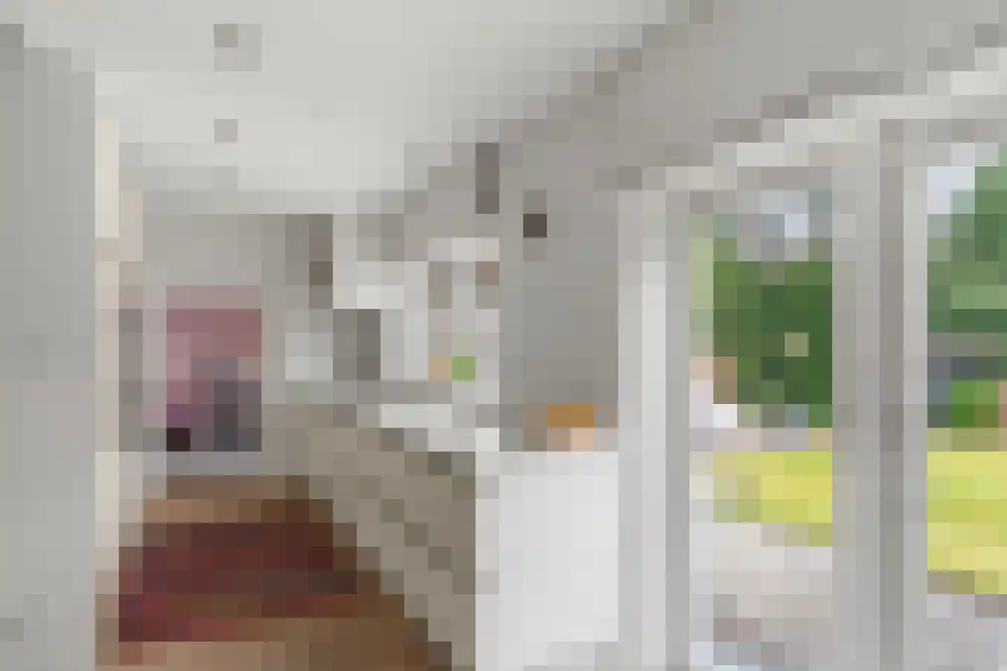 Laurillardlaan 13 Bilthoven thumbnail 12