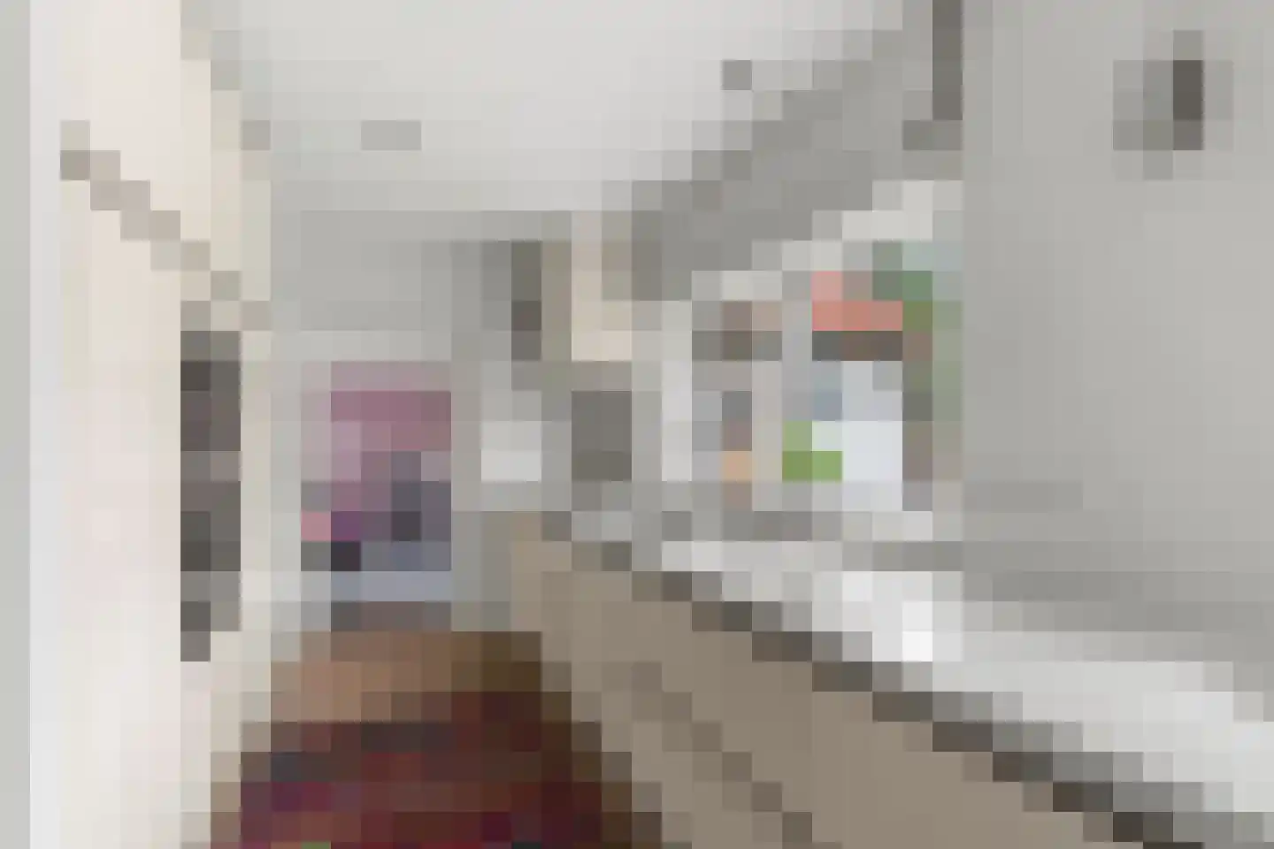 Laurillardlaan 13 Bilthoven thumbnail 14