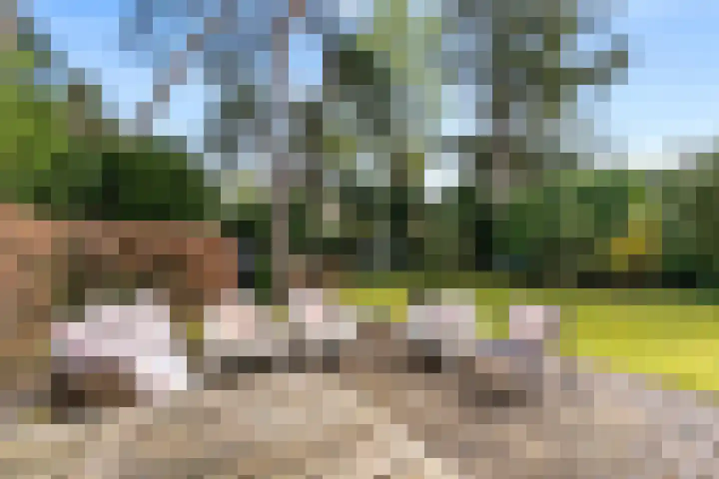 Laurillardlaan 13 Bilthoven thumbnail 18
