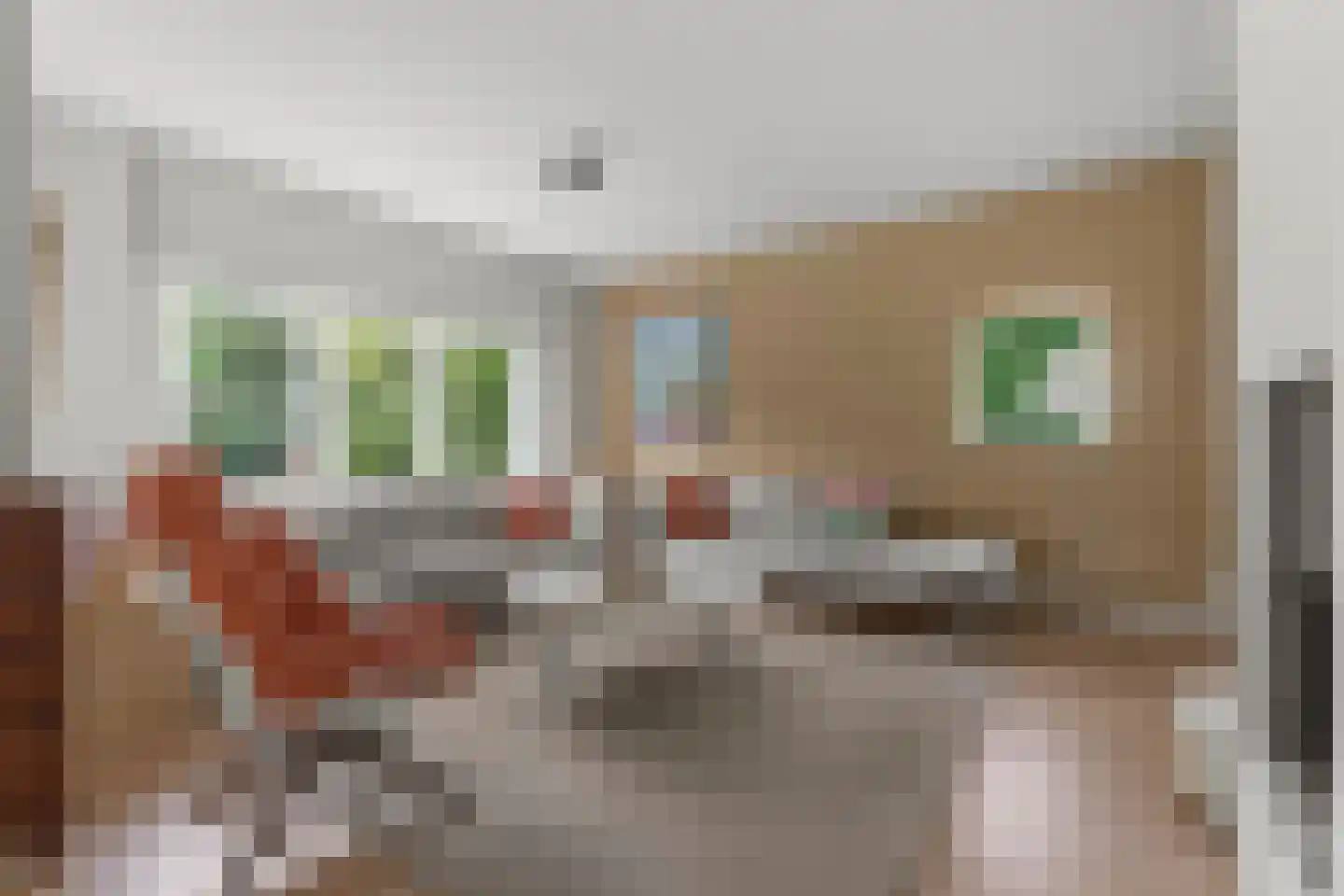 Laurillardlaan 13 Bilthoven thumbnail 5