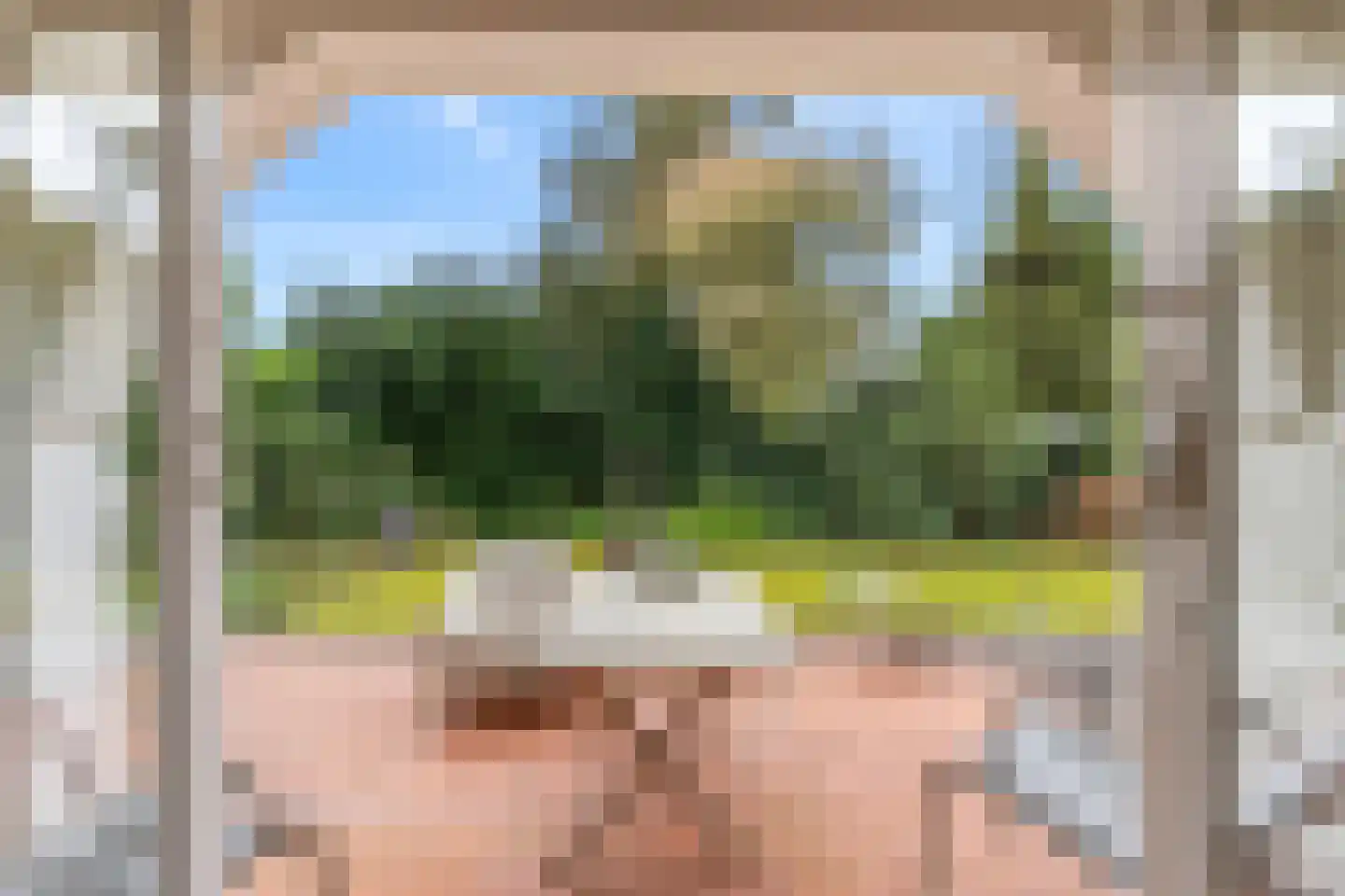 Laurillardlaan 13 Bilthoven thumbnail 9