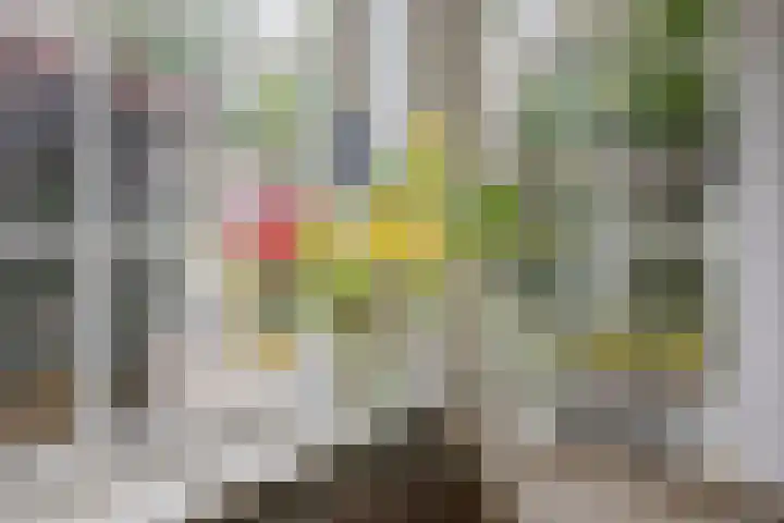 Laurillardlaan 16 Santpoort-Zuid thumbnail 13