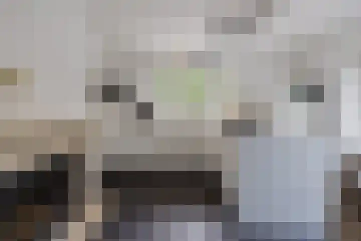 Laurillardlaan 16 Santpoort-Zuid thumbnail 23