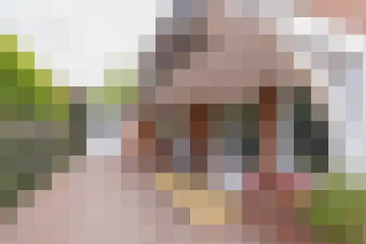 Laurillardlaan 16 Santpoort-Zuid thumbnail 30