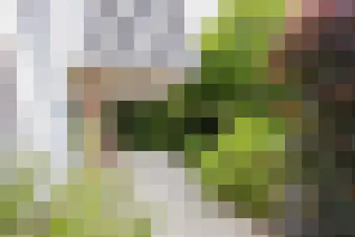 Laurillardlaan 16 Santpoort-Zuid thumbnail 31