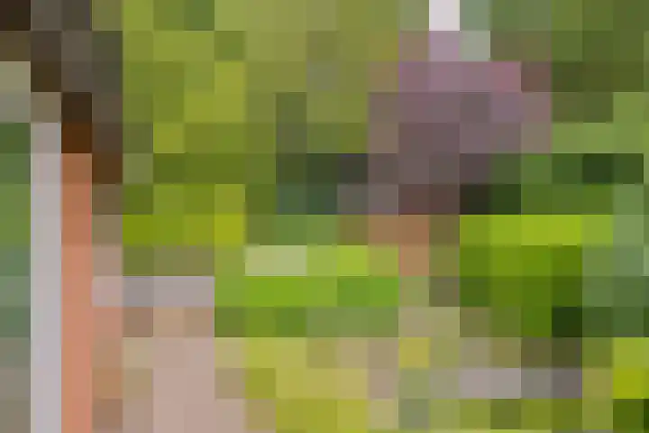 Laurillardlaan 16 Santpoort-Zuid thumbnail 36