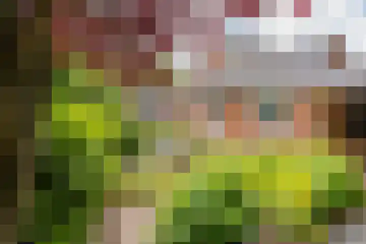 Laurillardlaan 16 Santpoort-Zuid thumbnail 37