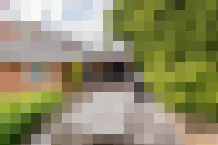 Laurillardlaan 16 Santpoort-Zuid thumbnail 38