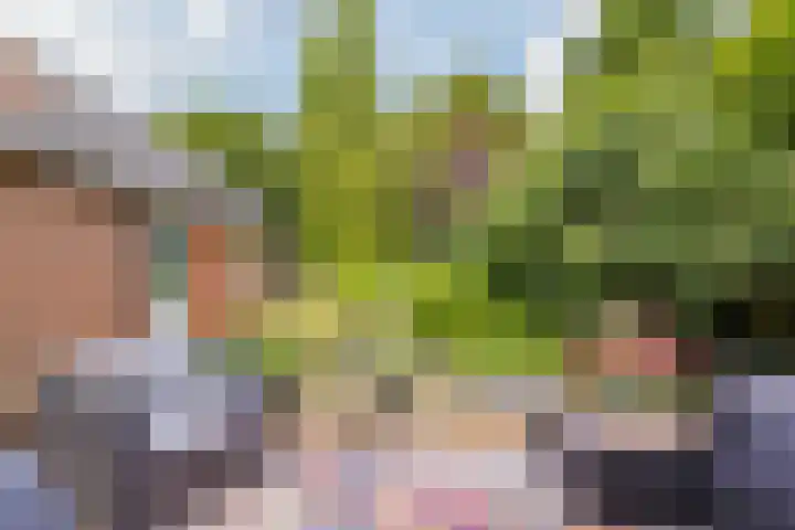 Laurillardlaan 16 Santpoort-Zuid thumbnail 4