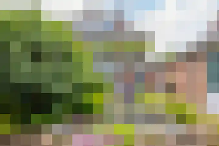 Laurillardlaan 16 Santpoort-Zuid thumbnail 43