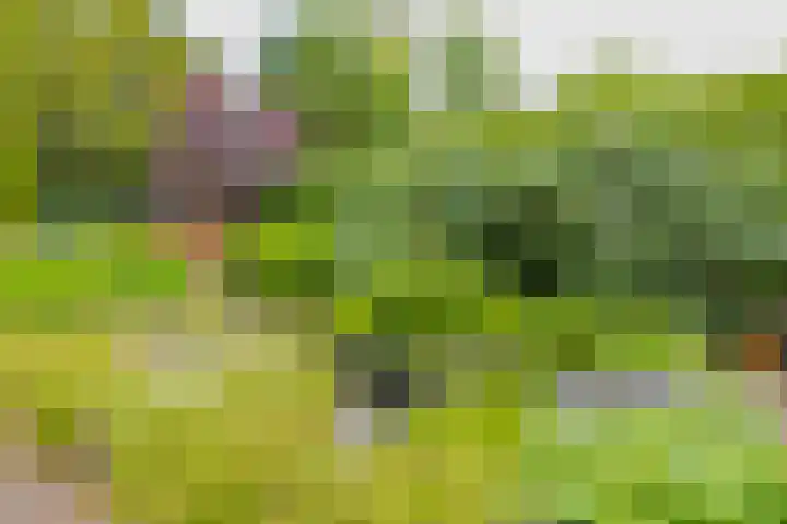 Laurillardlaan 16 Santpoort-Zuid thumbnail 5