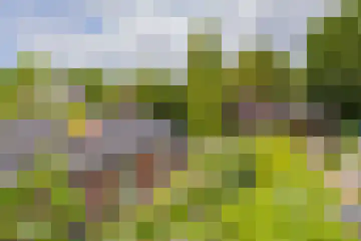 Laurillardlaan 16 Santpoort-Zuid thumbnail 53